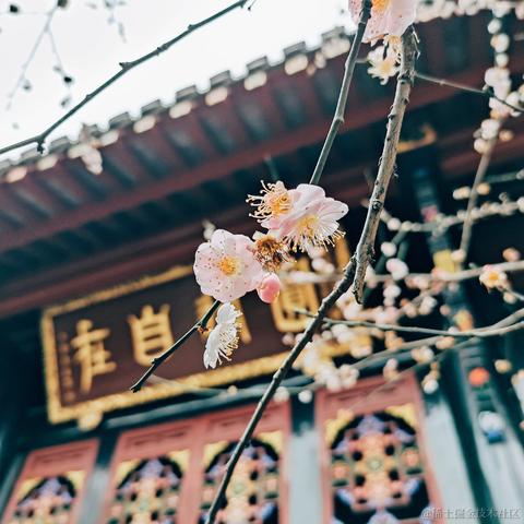 哒哒哒螃蟹于2022-01-27 09:33发布的图片