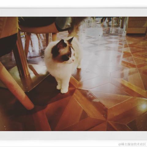 lanlan_于2023-04-08 23:27发布的图片