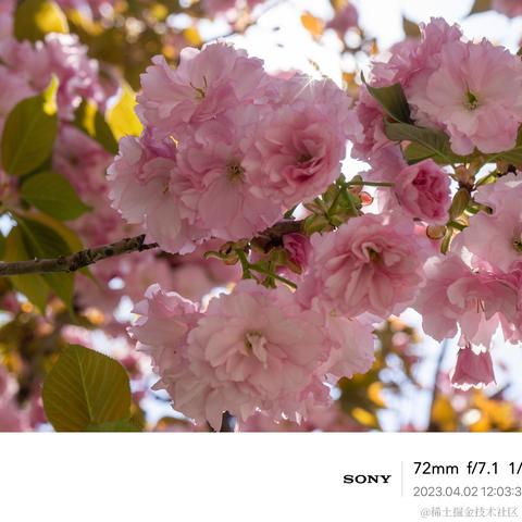 北冥有你于2023-04-04 08:54发布的图片