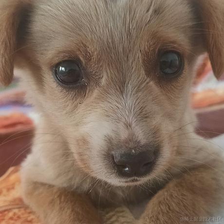 音速小向晚于2022-11-19 01:00发布的图片