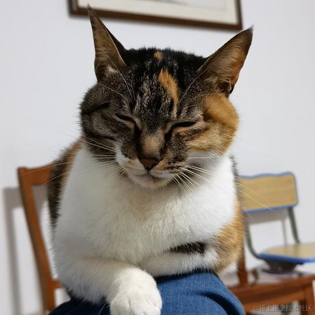 聪明勇敢贝极星于2022-11-25 00:50发布的图片