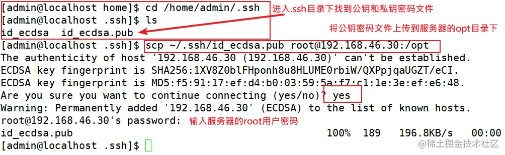 如何通过SSH安全地访问我的网站根目录？