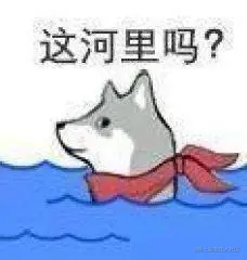 81e3b23408c74d68ad89bd7a58458eed.jpg