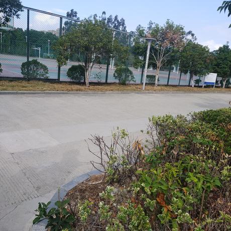 打卡小向晚于2022-11-11 09:33发布的图片