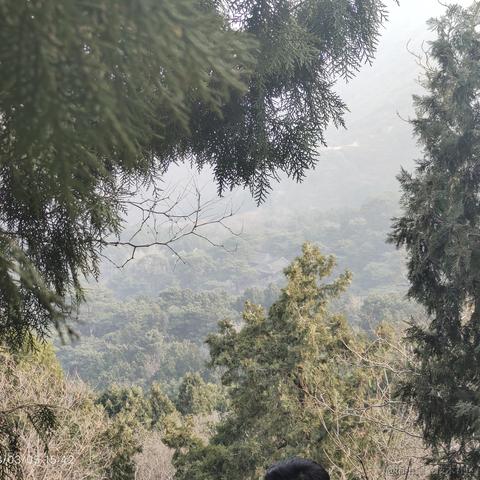 私涙洇于2023-03-31 13:30发布的图片