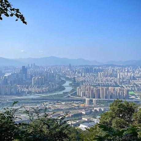 秋刀鱼Bin于2023-11-30 16:53发布的图片