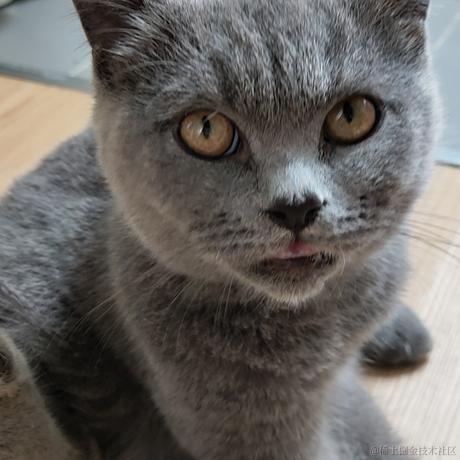 离殇花开于2021-11-02 18:37发布的图片