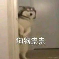 DogDogSuiSui于2021-11-16 11:05发布的图片