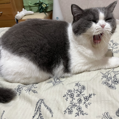 今日上上上签于2023-10-20 12:28发布的图片