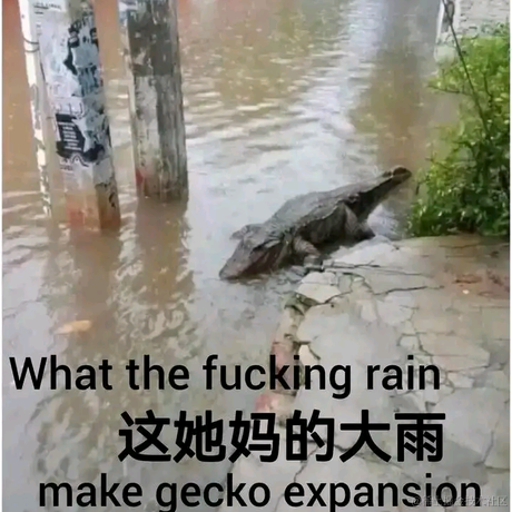 犹豫的洋葱于2023-07-04 23:47发布的图片