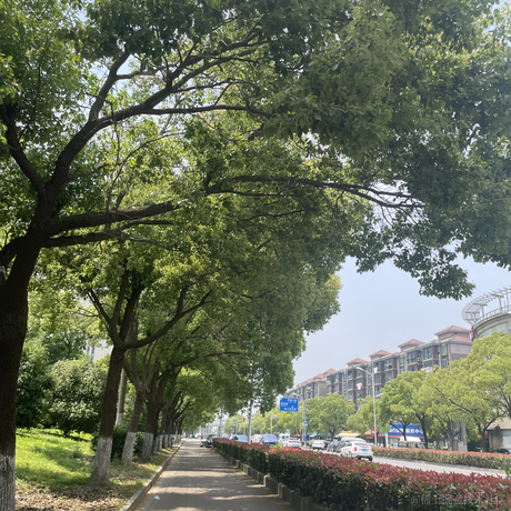 阿殷于2023-05-15 12:43发布的图片