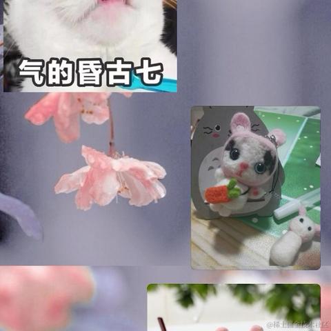 朱丽娜于2022-05-09 11:15发布的图片