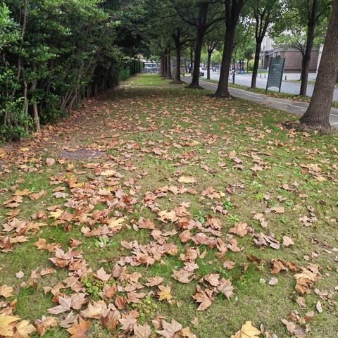 墨璃人于2022-11-27 20:30发布的图片