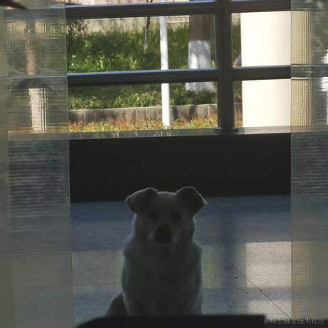 LINer于2023-03-30 22:22发布的图片