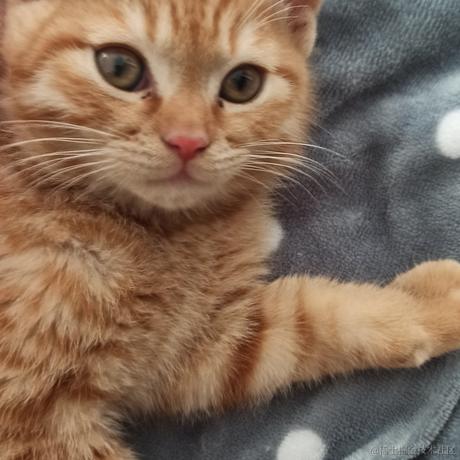 _鱼_于2023-01-30 14:42发布的图片