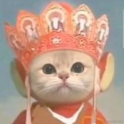 maoxiaomi的个人资料头像