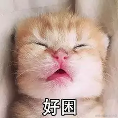 小罐于2021-08-31 13:56发布的图片