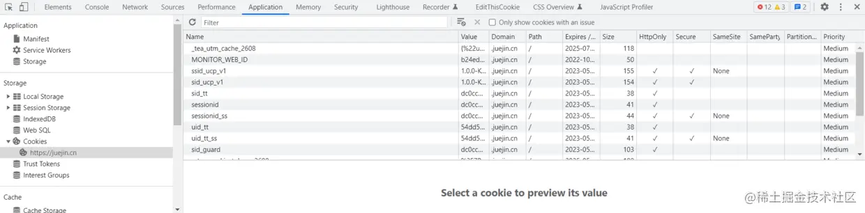 Chrome 开发工具 cookie