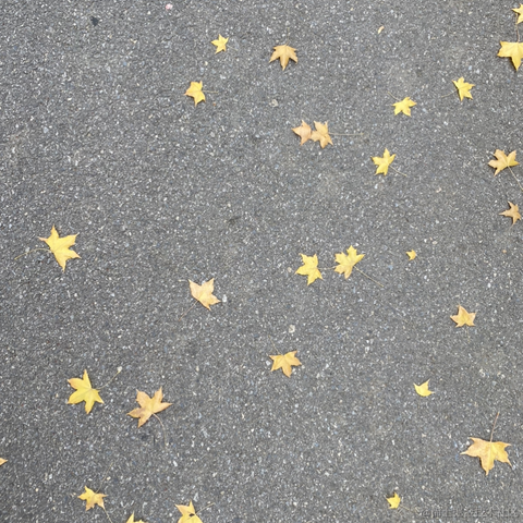 和稀土掘金矿于2022-11-19 00:51发布的图片