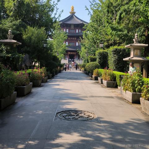 ma77于2023-08-16 12:08发布的图片