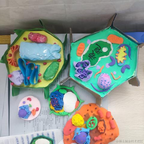 猫雷最强于2022-11-25 20:28发布的图片