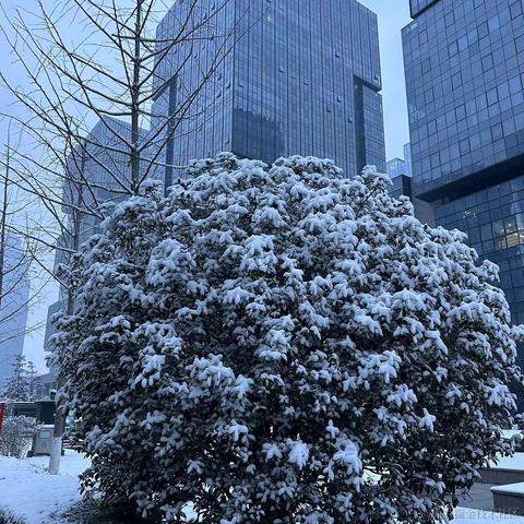 FernQ于2024-01-16 09:31发布的图片