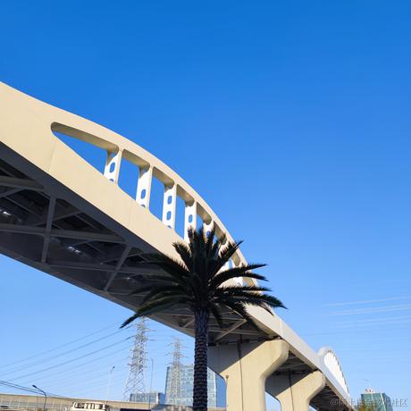 VihoL于2022-11-13 15:53发布的图片