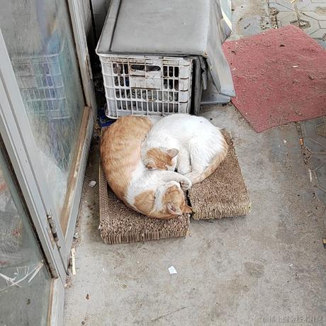 王木拉于2023-07-02 09:46发布的图片