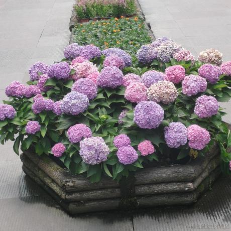 不过顶晚人于2022-11-28 14:36发布的图片