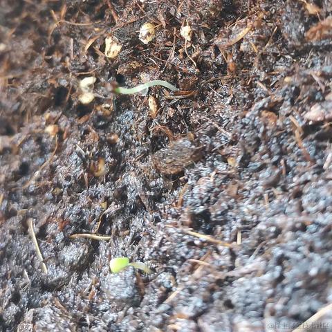 youth_于2022-05-17 08:43发布的图片