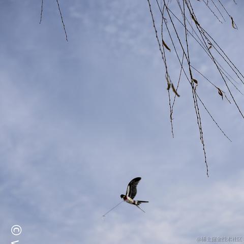 _V于2021-01-20 11:01发布的图片