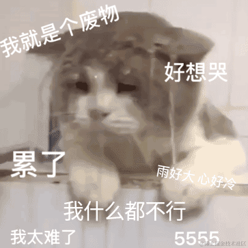 你怎么瘦的像条狗一样于2021-03-04 15:59发布的图片