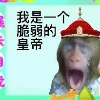 那就拜托你啦于2023-07-09 09:44发布的图片