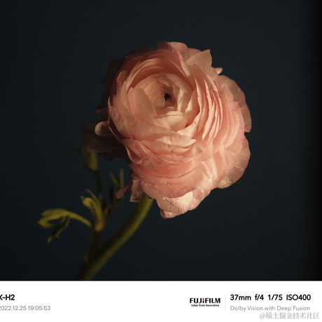 盆盆咋于2022-12-26 17:24发布的图片