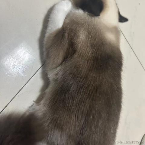 慢慢爬的蜗牛于2023-05-15 19:40发布的图片