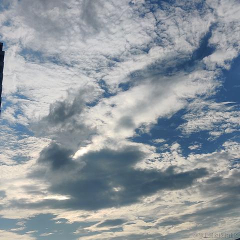 __Petrichor于2024-07-03 17:37发布的图片