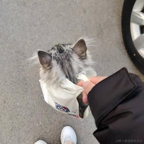 我在海洋里捡垃圾于2022-01-21 11:04发布的图片