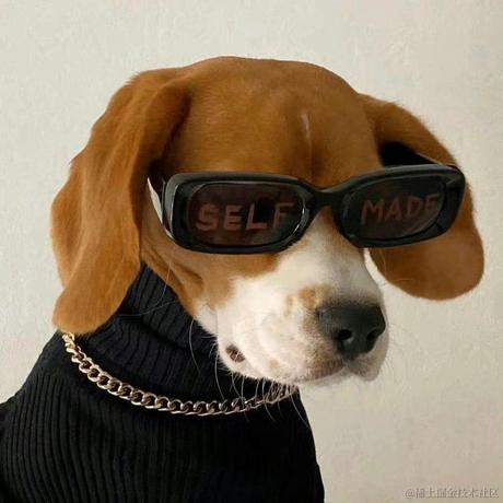 我要和王贝拉结婚于2022-11-25 22:49发布的图片