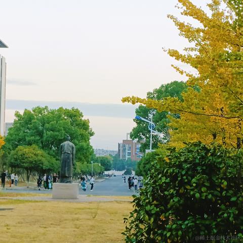 所飒于2022-11-09 16:31发布的图片