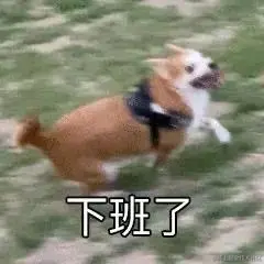 头发超多的柚子于2023-03-24 17:55发布的图片