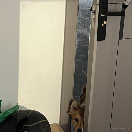 浪漫主义码农于2023-04-28 15:16发布的图片