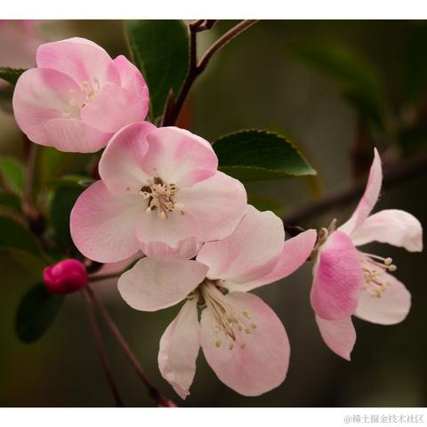 kakrot_于2023-03-22 10:11发布的图片