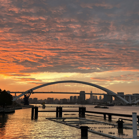 桔梗曼于2022-11-29 10:54发布的图片