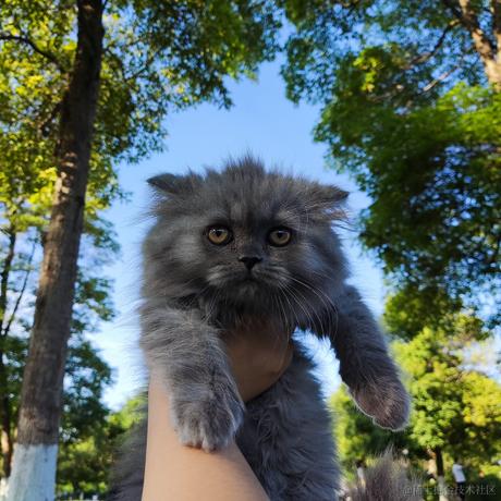 今天你吃饱了吗于2022-05-29 00:30发布的图片