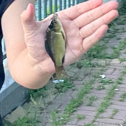 浅辄于2023-07-01 20:24发布的图片