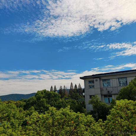 悲伤的猪大肠于2022-10-10 16:00发布的图片