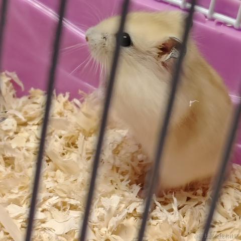 五弦奏南风于2023-03-11 10:08发布的图片