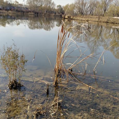 西风断冷月残于2022-11-23 09:22发布的图片