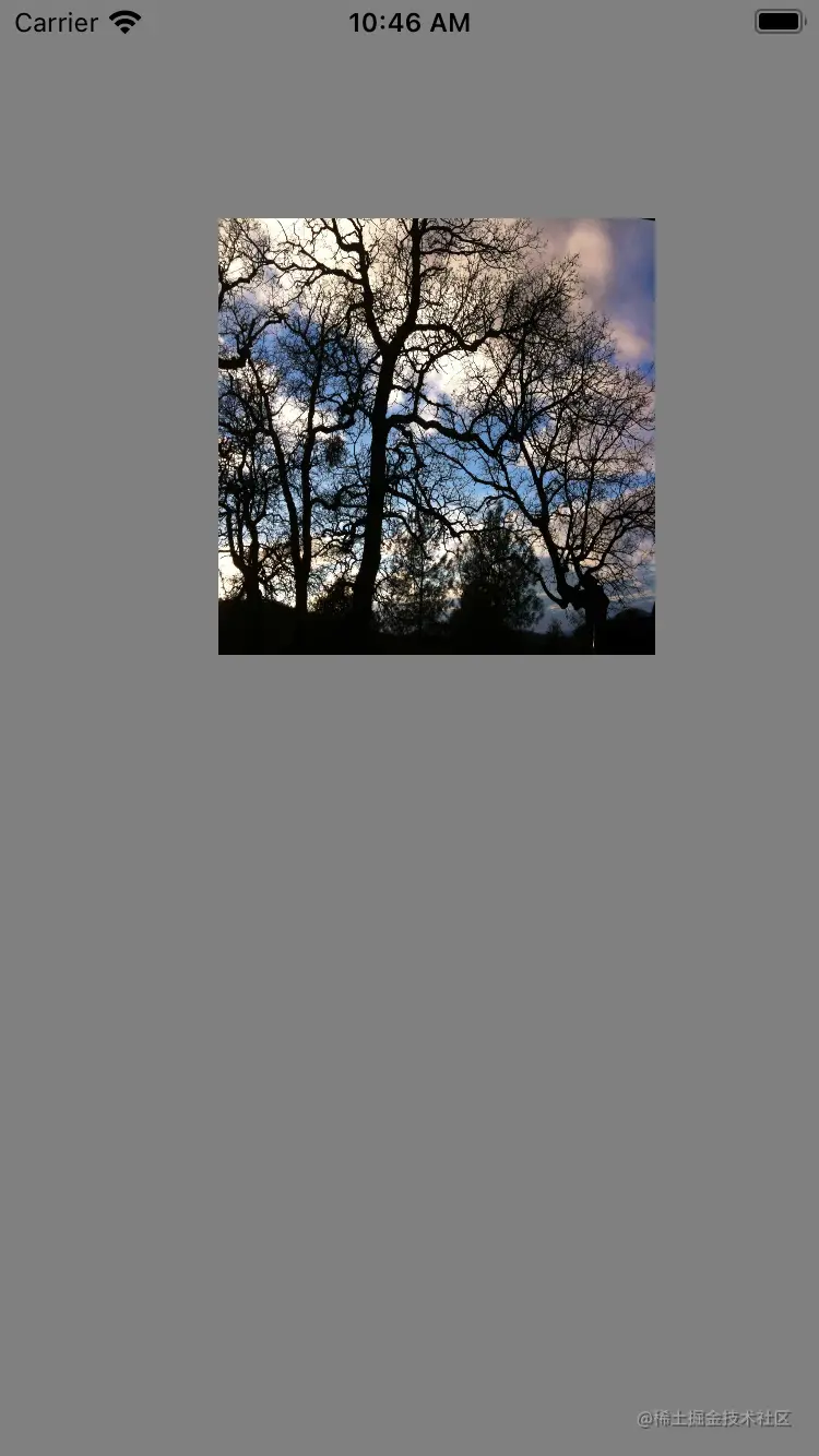 Simulator Screen Shot - iPhone 8 - 2021-05-29 at 10.46.01.png