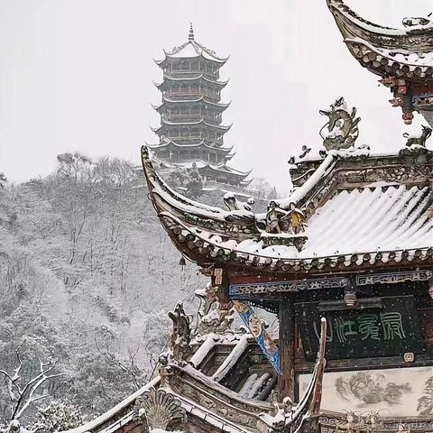 小飞棍来洛于2024-01-23 13:50发布的图片